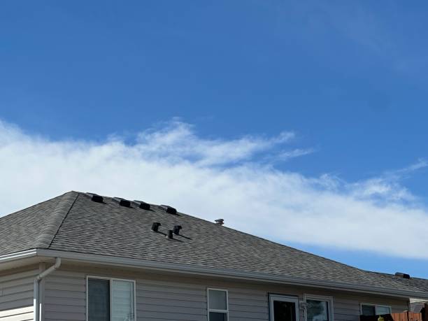 Reliable Escobares, TX Roofing Service  Solutions